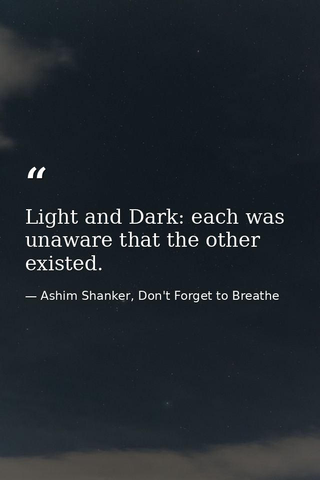 Light and Dark: each was unaware that the other existed. — Ashim Shanker, Don't Forget to Breathe