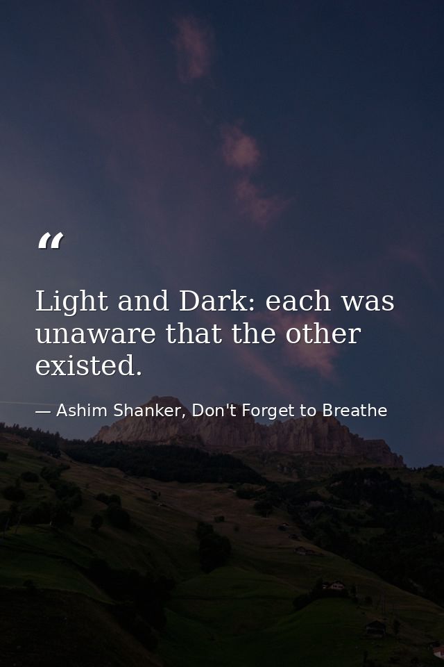 Light and Dark: each was unaware that the other existed. — Ashim Shanker, Don't Forget to Breathe