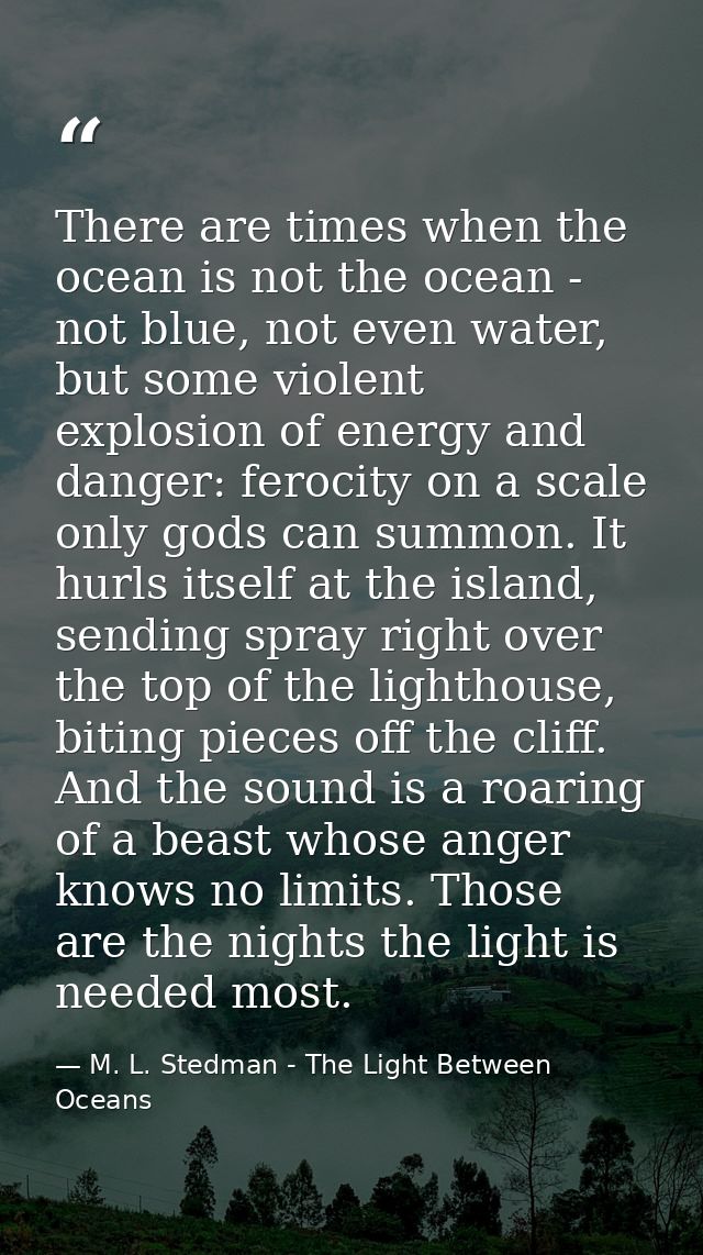 There are times when the ocean is not the ocean - not blue, not even water, but some violent explosion of energy and dan — M. L. Stedman - The Light Between Oceans