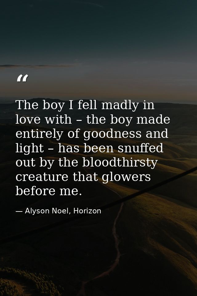 The boy I fell madly in love with – the boy made entirely of goodness and light – has been snuffed out by the bloodthirs — Alyson Noel, Horizon