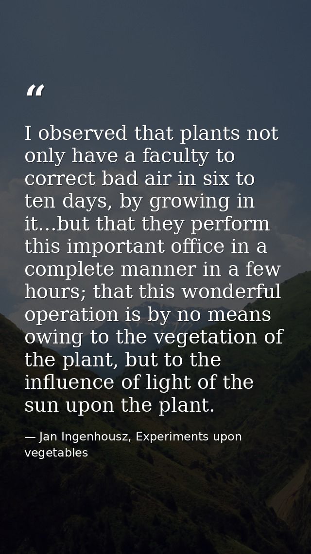 I observed that plants not only have a faculty to correct bad air in six to ten days, by growing in it...but that they p — Jan Ingenhousz, Experiments upon vegetables