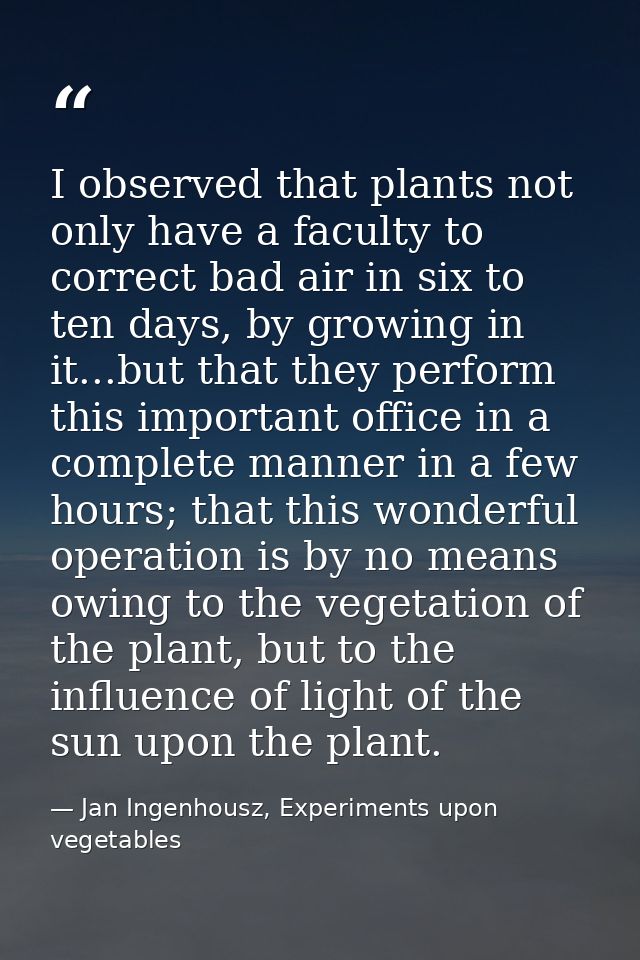 I observed that plants not only have a faculty to correct bad air in six to ten days, by growing in it...but that they p — Jan Ingenhousz, Experiments upon vegetables