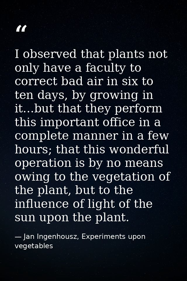 I observed that plants not only have a faculty to correct bad air in six to ten days, by growing in it...but that they p — Jan Ingenhousz, Experiments upon vegetables