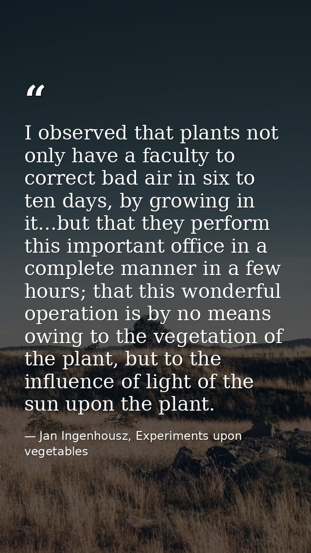 I observed that plants not only have a faculty to correct bad air in six to ten days, by growing in it...but that they p — Jan Ingenhousz, Experiments upon vegetables