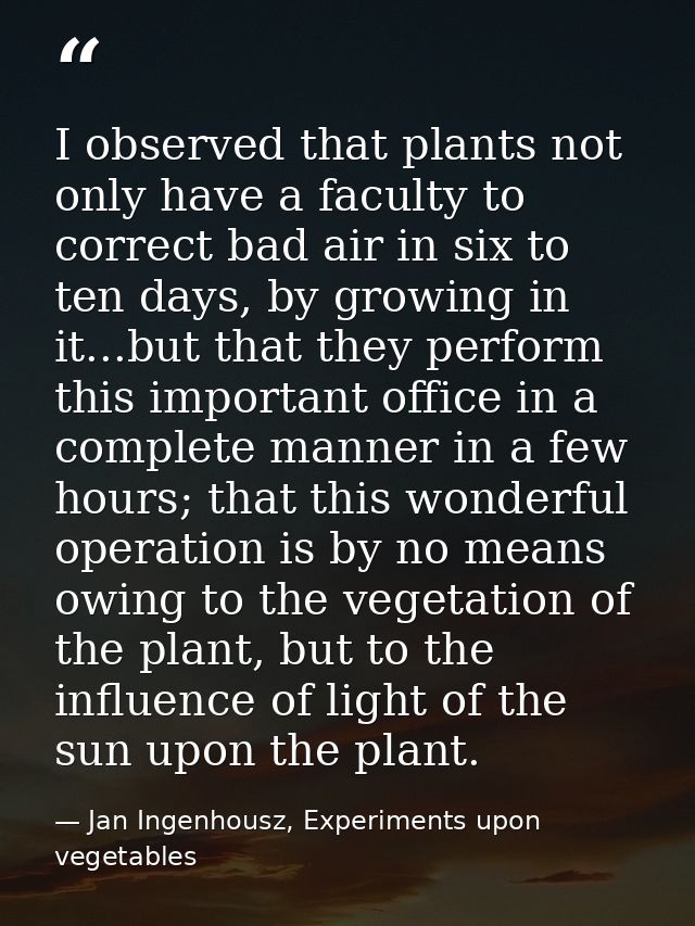 I observed that plants not only have a faculty to correct bad air in six to ten days, by growing in it...but that they p — Jan Ingenhousz, Experiments upon vegetables