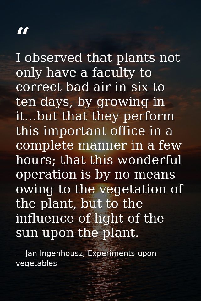 I observed that plants not only have a faculty to correct bad air in six to ten days, by growing in it...but that they p — Jan Ingenhousz, Experiments upon vegetables