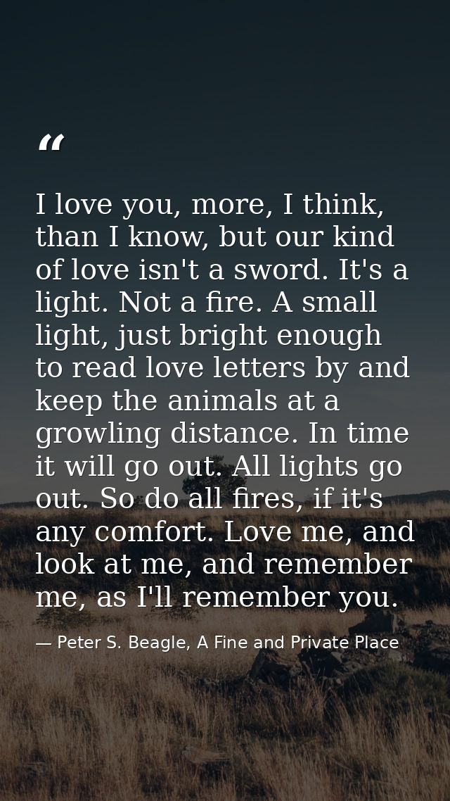 I love you, more, I think, than I know, but our kind of love isn't a sword. It's a light. Not a fire. A small light, jus — Peter S. Beagle, A Fine and Private Place