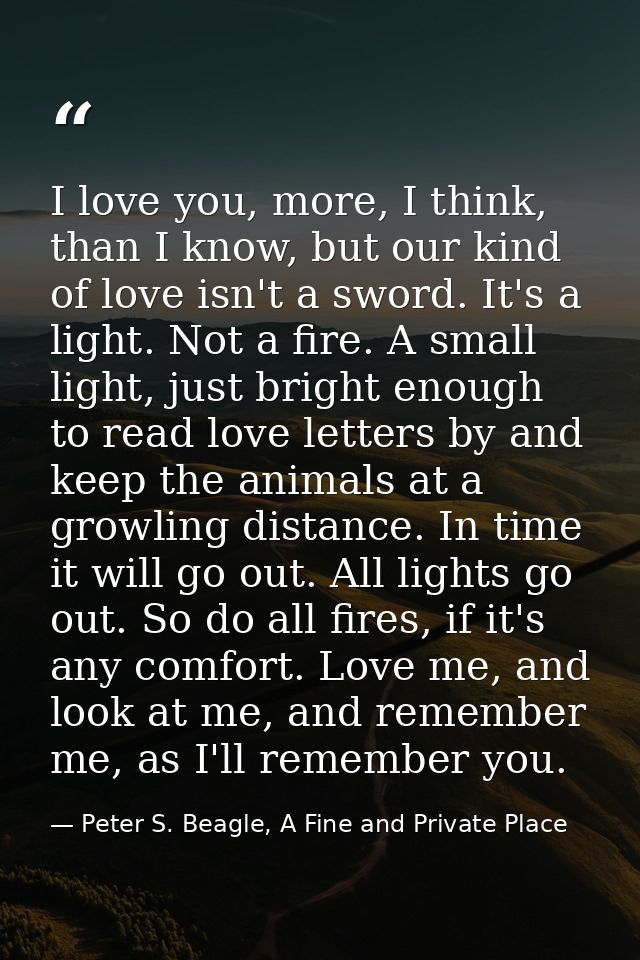 I love you, more, I think, than I know, but our kind of love isn't a sword. It's a light. Not a fire. A small light, jus — Peter S. Beagle, A Fine and Private Place