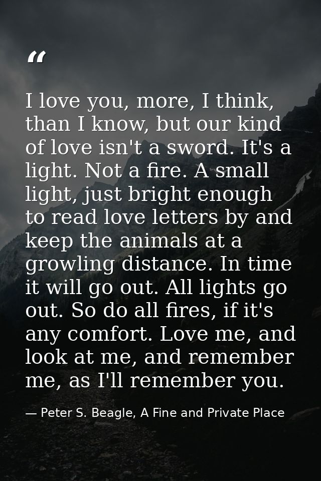 I love you, more, I think, than I know, but our kind of love isn't a sword. It's a light. Not a fire. A small light, jus — Peter S. Beagle, A Fine and Private Place