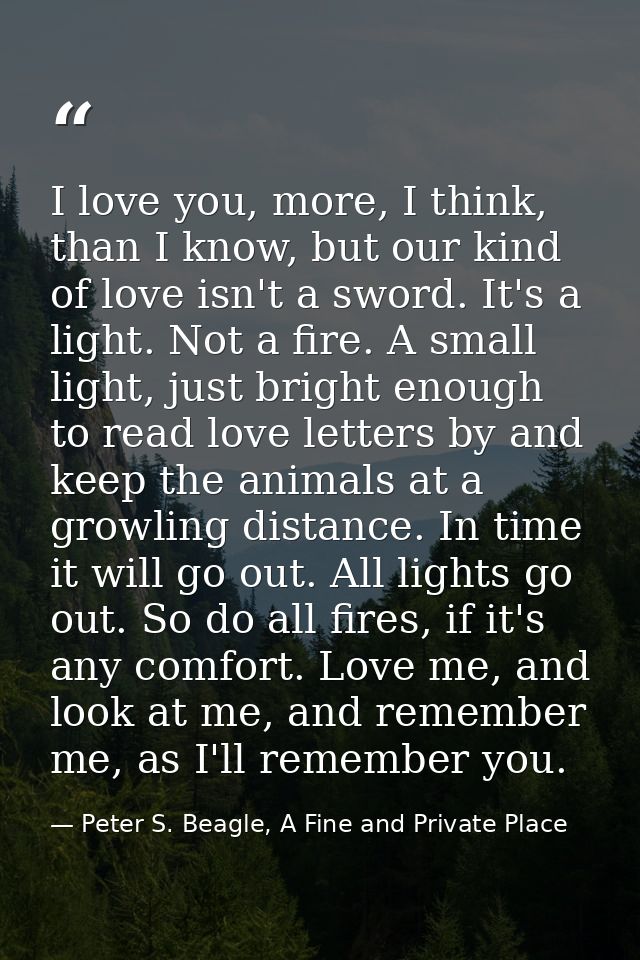 I love you, more, I think, than I know, but our kind of love isn't a sword. It's a light. Not a fire. A small light, jus — Peter S. Beagle, A Fine and Private Place