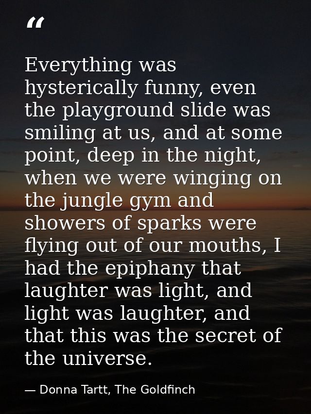 Everything was hysterically funny, even the playground slide was smiling at us, and at some point, deep in the night, wh — Donna Tartt, The Goldfinch