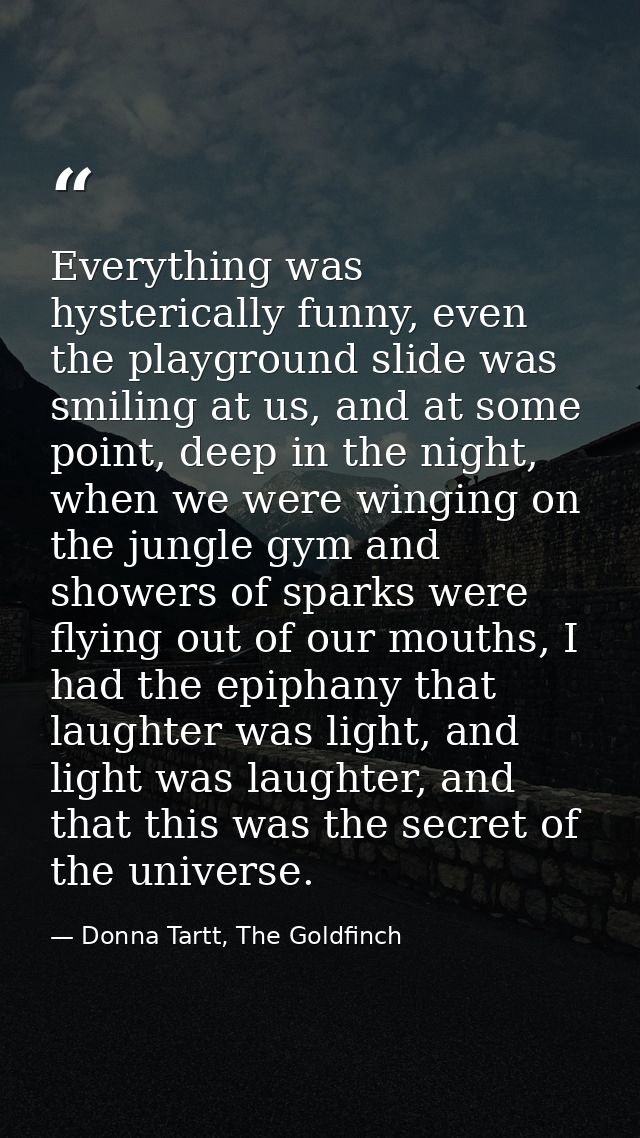 Everything was hysterically funny, even the playground slide was smiling at us, and at some point, deep in the night, wh — Donna Tartt, The Goldfinch