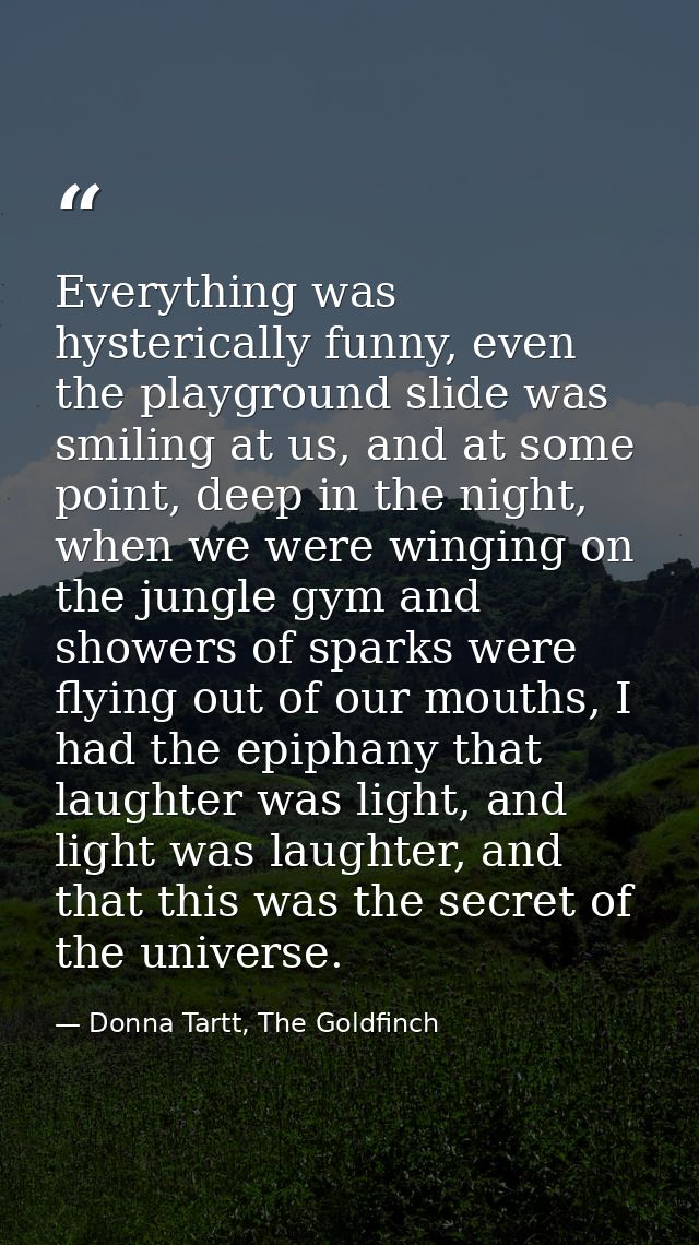 Everything was hysterically funny, even the playground slide was smiling at us, and at some point, deep in the night, wh — Donna Tartt, The Goldfinch
