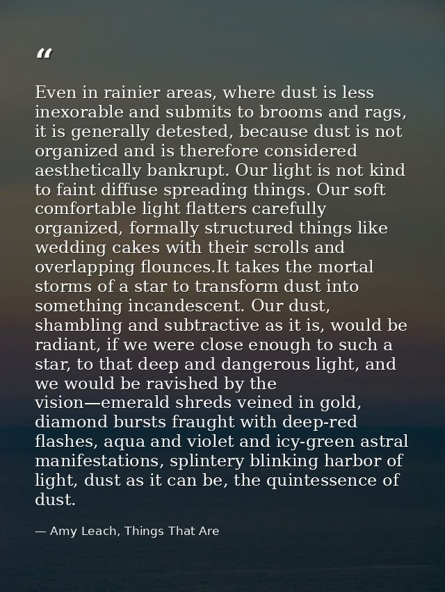 Even in rainier areas, where dust is less inexorable and submits to brooms and rags, it is generally detested, because d — Amy Leach, Things That Are