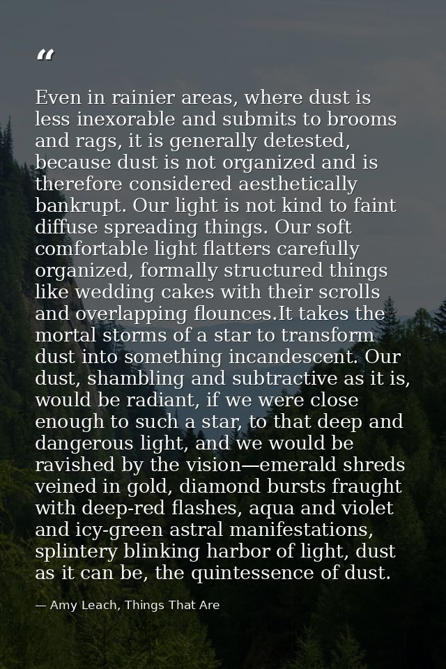 Even in rainier areas, where dust is less inexorable and submits to brooms and rags, it is generally detested, because d — Amy Leach, Things That Are