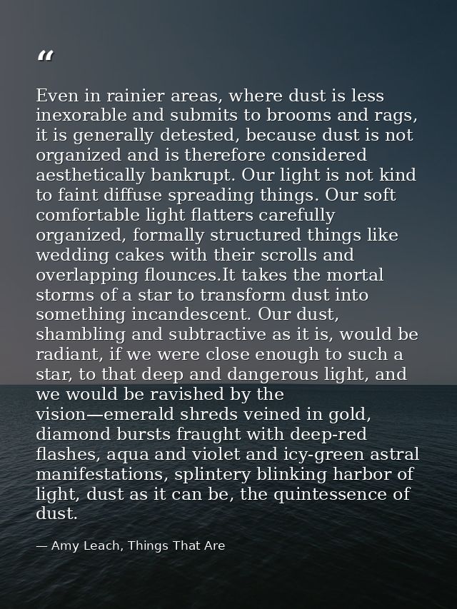 Even in rainier areas, where dust is less inexorable and submits to brooms and rags, it is generally detested, because d — Amy Leach, Things That Are