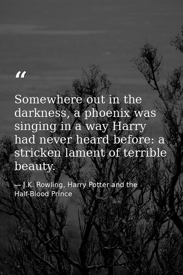 Somewhere out in the darkness, a phoenix was singing in a way Harry had never heard before: a stricken lament of terribl — J.K. Rowling, Harry Potter and the Half-Blood Prince