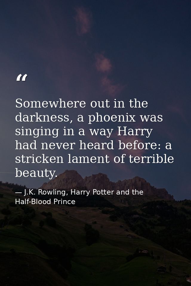 Somewhere out in the darkness, a phoenix was singing in a way Harry had never heard before: a stricken lament of terribl — J.K. Rowling, Harry Potter and the Half-Blood Prince