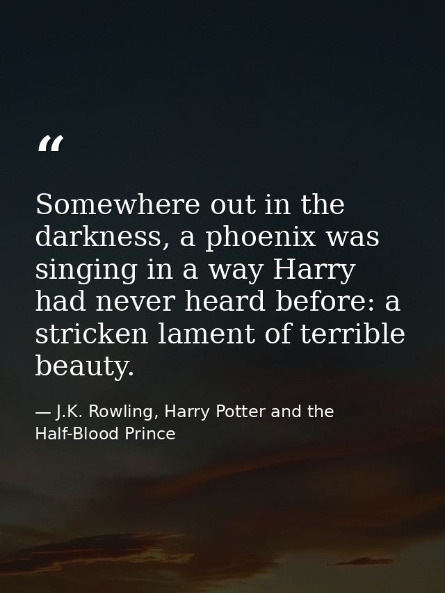 Somewhere out in the darkness, a phoenix was singing in a way Harry had never heard before: a stricken lament of terribl — J.K. Rowling, Harry Potter and the Half-Blood Prince