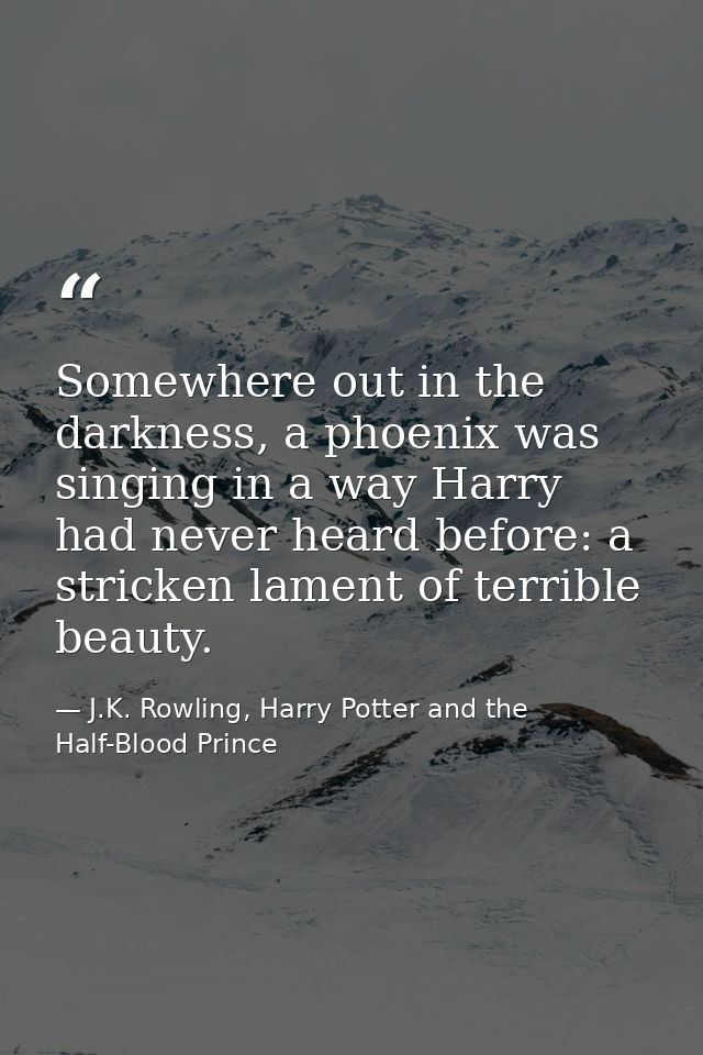 Somewhere out in the darkness, a phoenix was singing in a way Harry had never heard before: a stricken lament of terribl — J.K. Rowling, Harry Potter and the Half-Blood Prince
