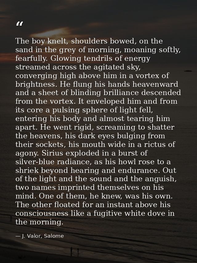The boy knelt, shoulders bowed, on the sand in the grey of morning, moaning softly, fearfully. Glowing tendrils of energ — J. Valor, Salome