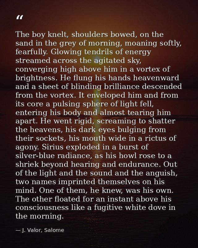 The boy knelt, shoulders bowed, on the sand in the grey of morning, moaning softly, fearfully. Glowing tendrils of energ — J. Valor, Salome