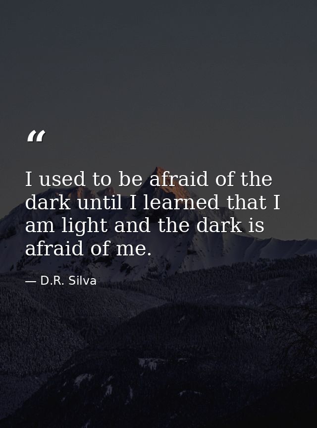 I used to be afraid of the dark until I learned that I am light and the dark is afraid of me. — D.R. Silva