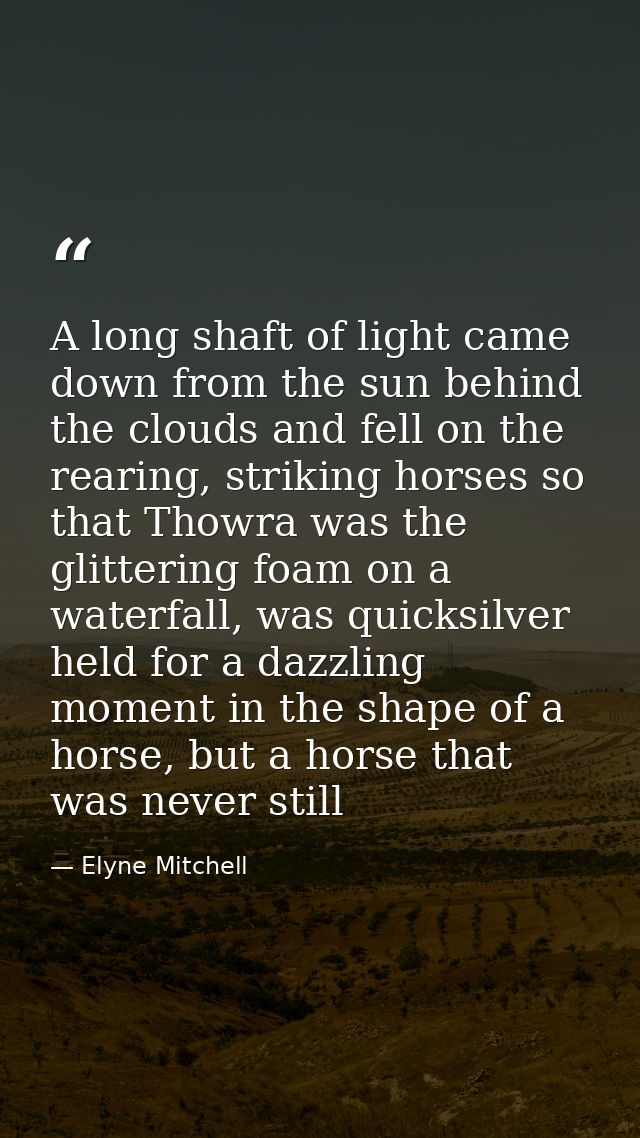 A long shaft of light came down from the sun behind the clouds and fell on the rearing, striking horses so that Thowra w — Elyne Mitchell