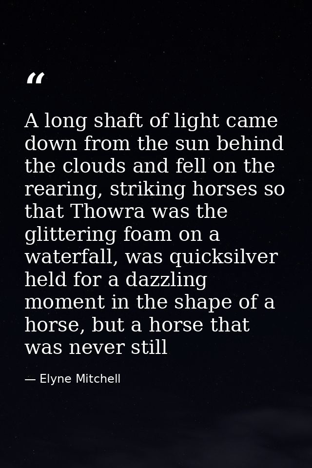 A long shaft of light came down from the sun behind the clouds and fell on the rearing, striking horses so that Thowra w — Elyne Mitchell