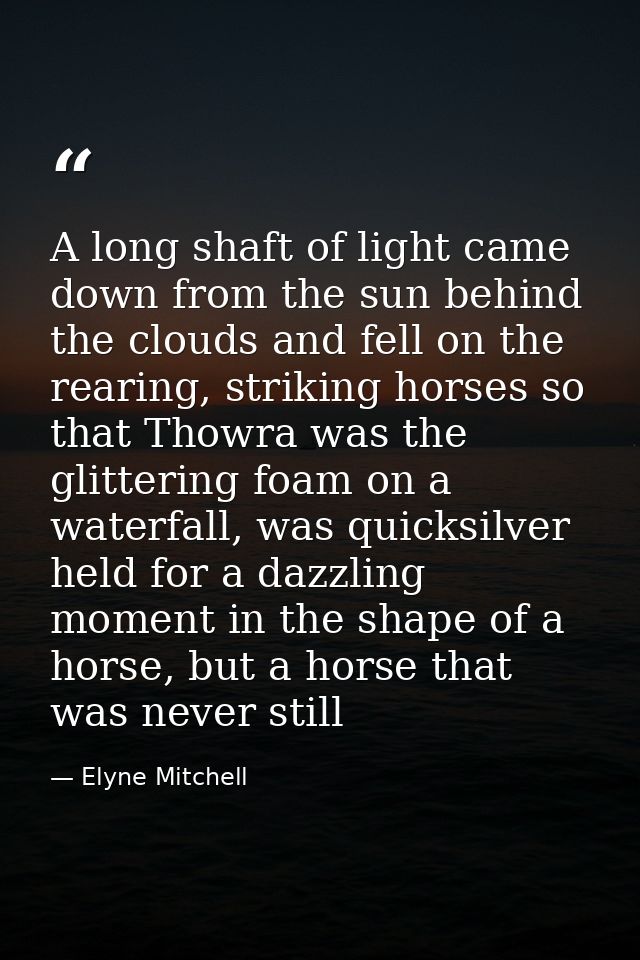 A long shaft of light came down from the sun behind the clouds and fell on the rearing, striking horses so that Thowra w — Elyne Mitchell