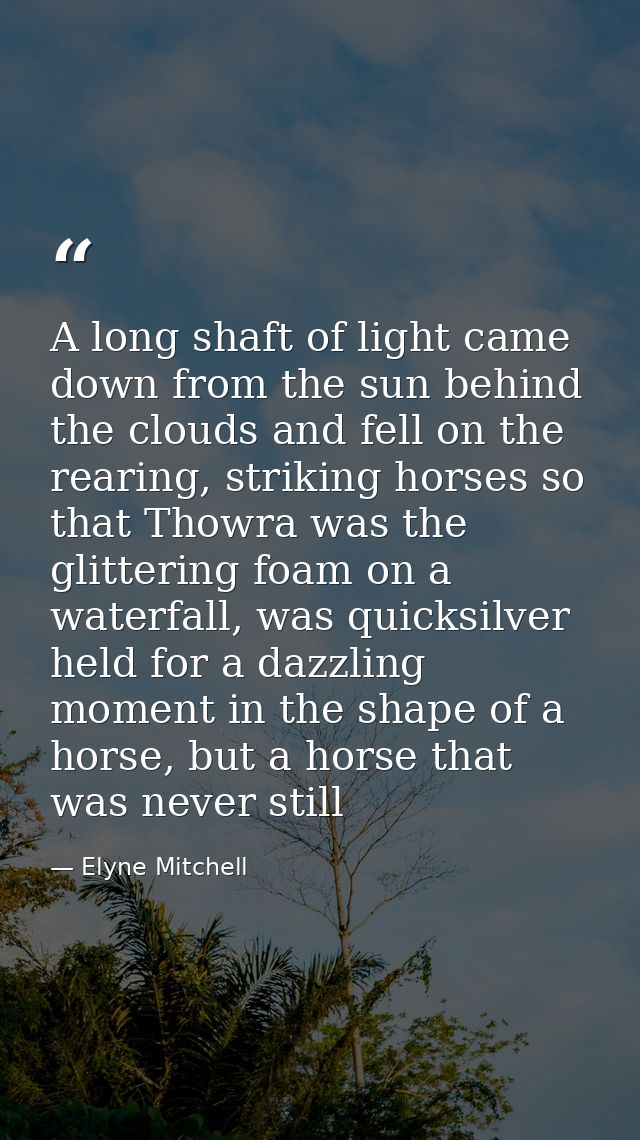 A long shaft of light came down from the sun behind the clouds and fell on the rearing, striking horses so that Thowra w — Elyne Mitchell