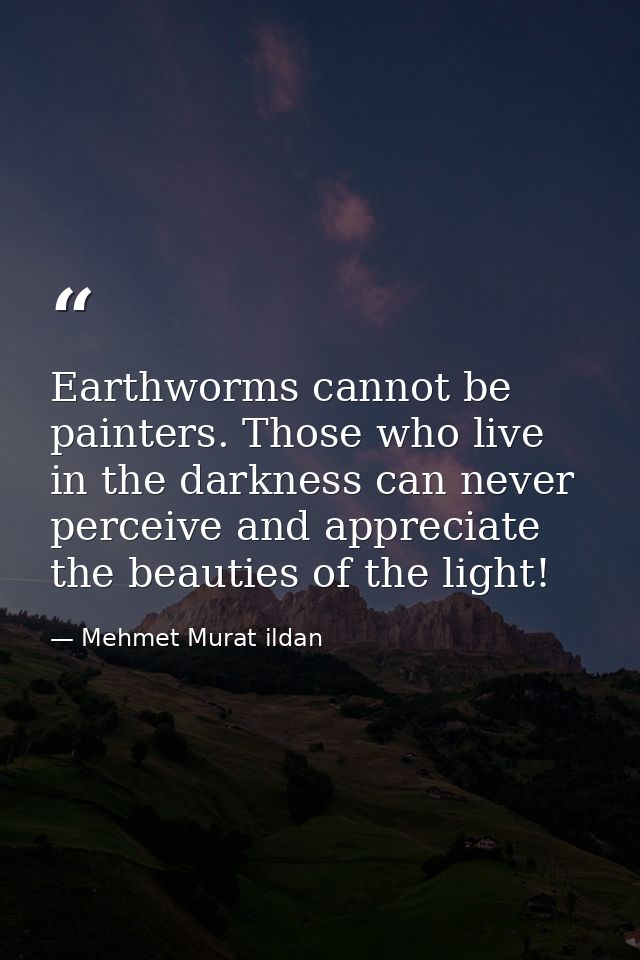 Earthworms cannot be painters. Those who live in the darkness can never perceive and appreciate the beauties of the ligh — Mehmet Murat ildan