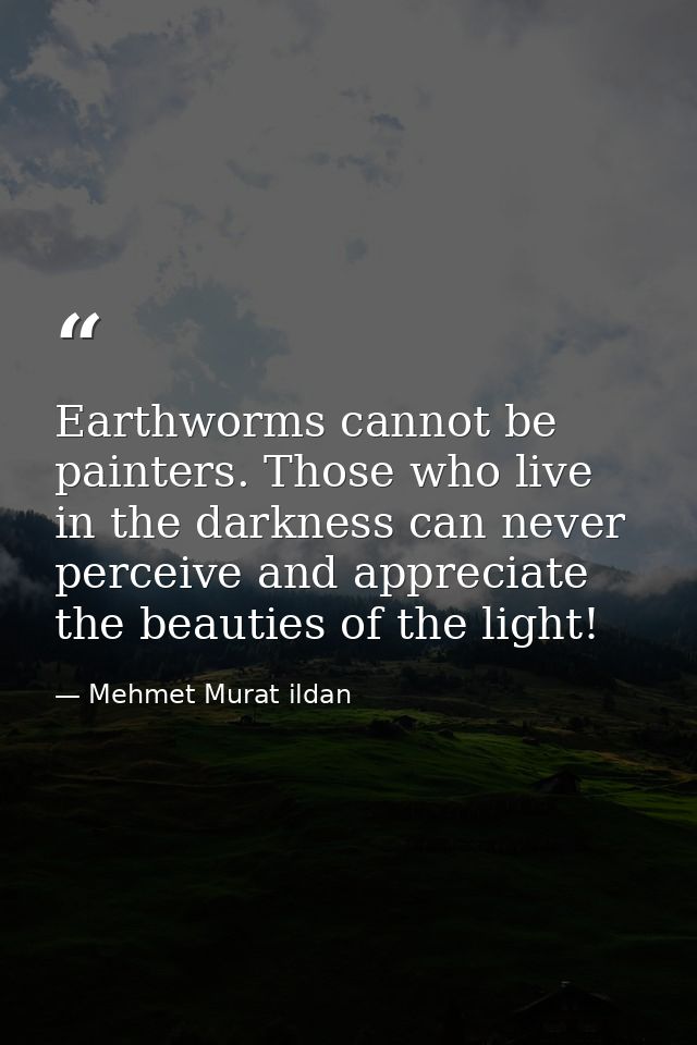 Earthworms cannot be painters. Those who live in the darkness can never perceive and appreciate the beauties of the ligh — Mehmet Murat ildan