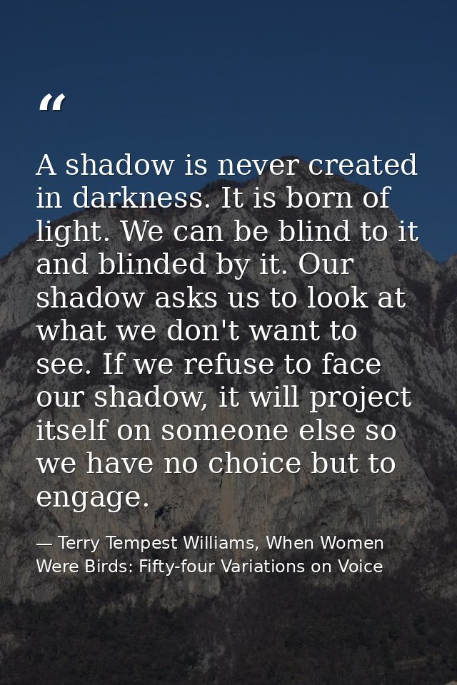 A shadow is never created in darkness. It is born of light. We can be blind to it and blinded by it. Our shadow asks us  — Terry Tempest Williams, When Women Were Birds: Fifty-four Variations on Voice