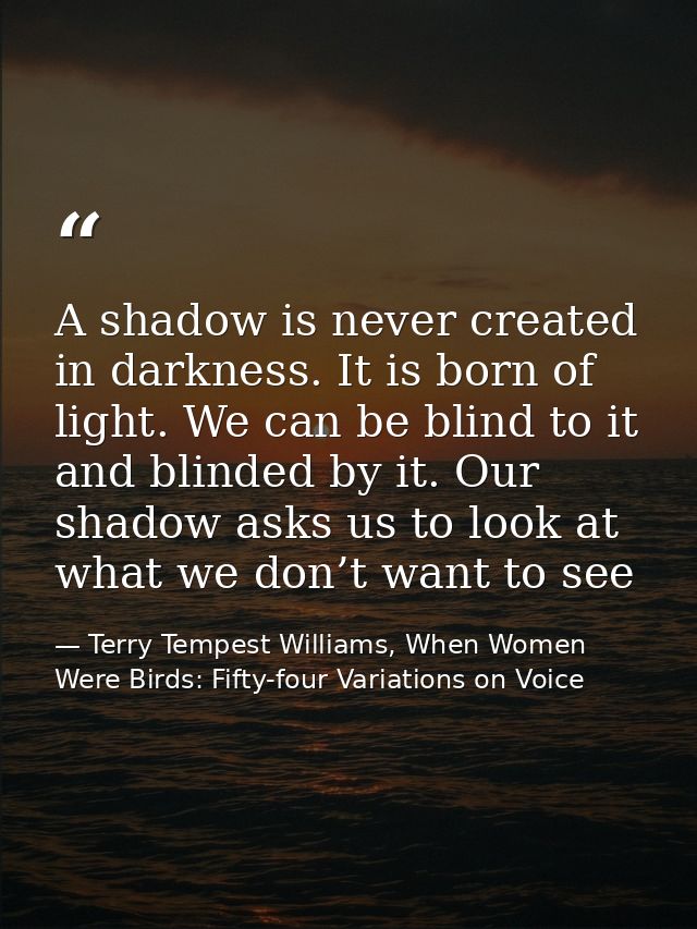 A shadow is never created in darkness. It is born of light. We can be blind to it and blinded by it. Our shadow asks us  — Terry Tempest Williams, When Women Were Birds: Fifty-four Variations on Voice