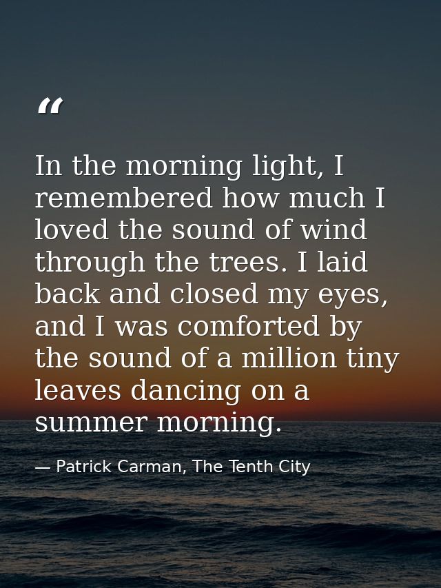 In the morning light, I remembered how much I loved the sound of wind through the trees. I laid back and closed my eyes, — Patrick Carman, The Tenth City
