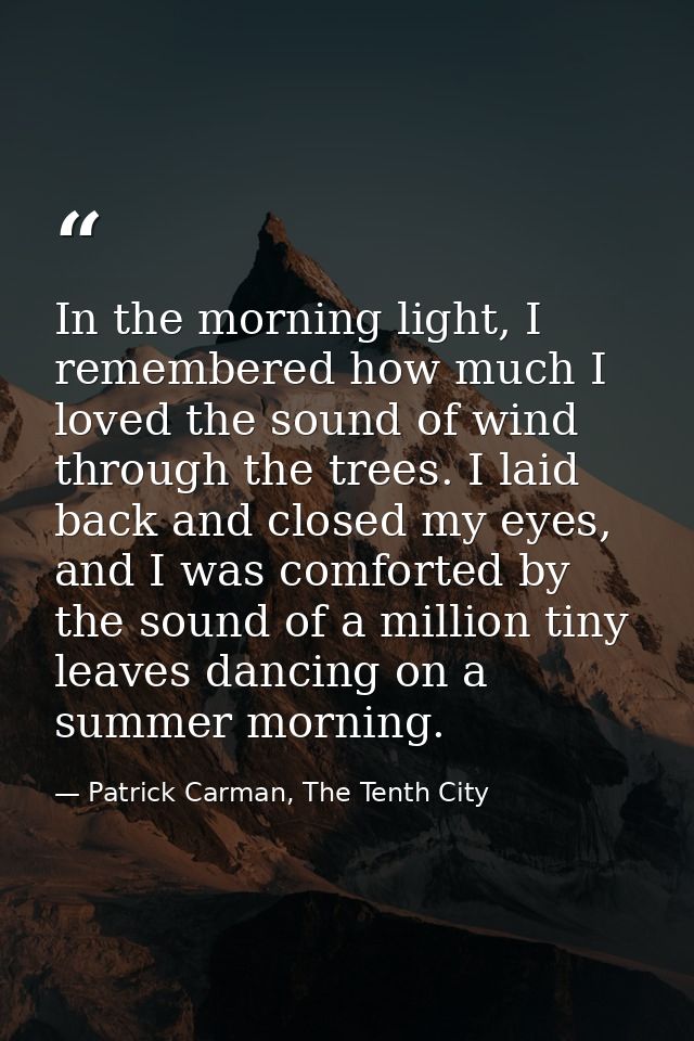 In the morning light, I remembered how much I loved the sound of wind through the trees. I laid back and closed my eyes, — Patrick Carman, The Tenth City