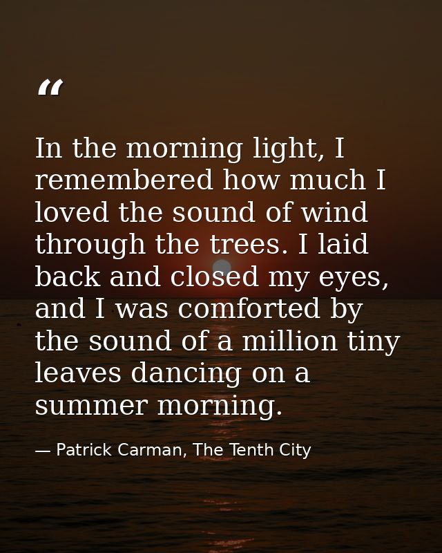 In the morning light, I remembered how much I loved the sound of wind through the trees. I laid back and closed my eyes, — Patrick Carman, The Tenth City