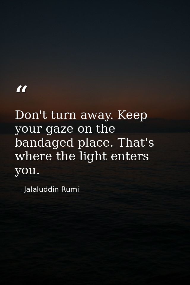 Don't turn away. Keep your gaze on the bandaged place. That's where the light enters you. — Jalaluddin Rumi