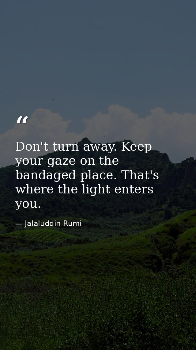 Don't turn away. Keep your gaze on the bandaged place. That's where the light enters you. — Jalaluddin Rumi