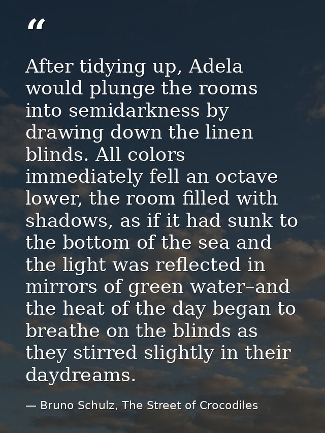 After tidying up, Adela would plunge the rooms into semidarkness by drawing down the linen blinds. All colors immediatel — Bruno Schulz, The Street of Crocodiles