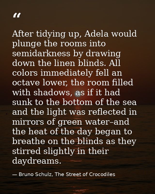 After tidying up, Adela would plunge the rooms into semidarkness by drawing down the linen blinds. All colors immediatel — Bruno Schulz, The Street of Crocodiles