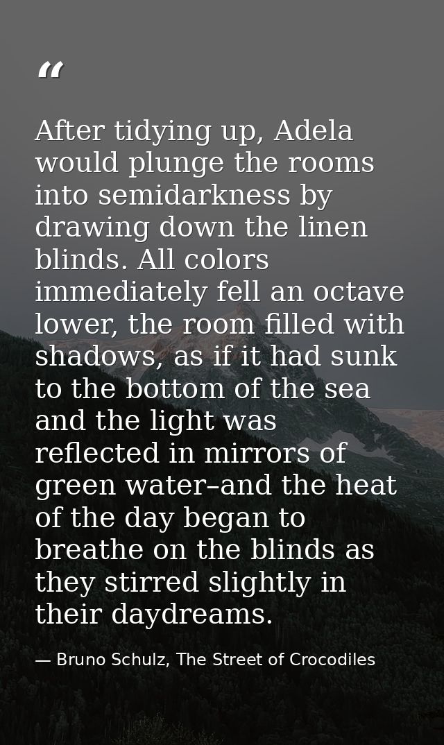 After tidying up, Adela would plunge the rooms into semidarkness by drawing down the linen blinds. All colors immediatel — Bruno Schulz, The Street of Crocodiles