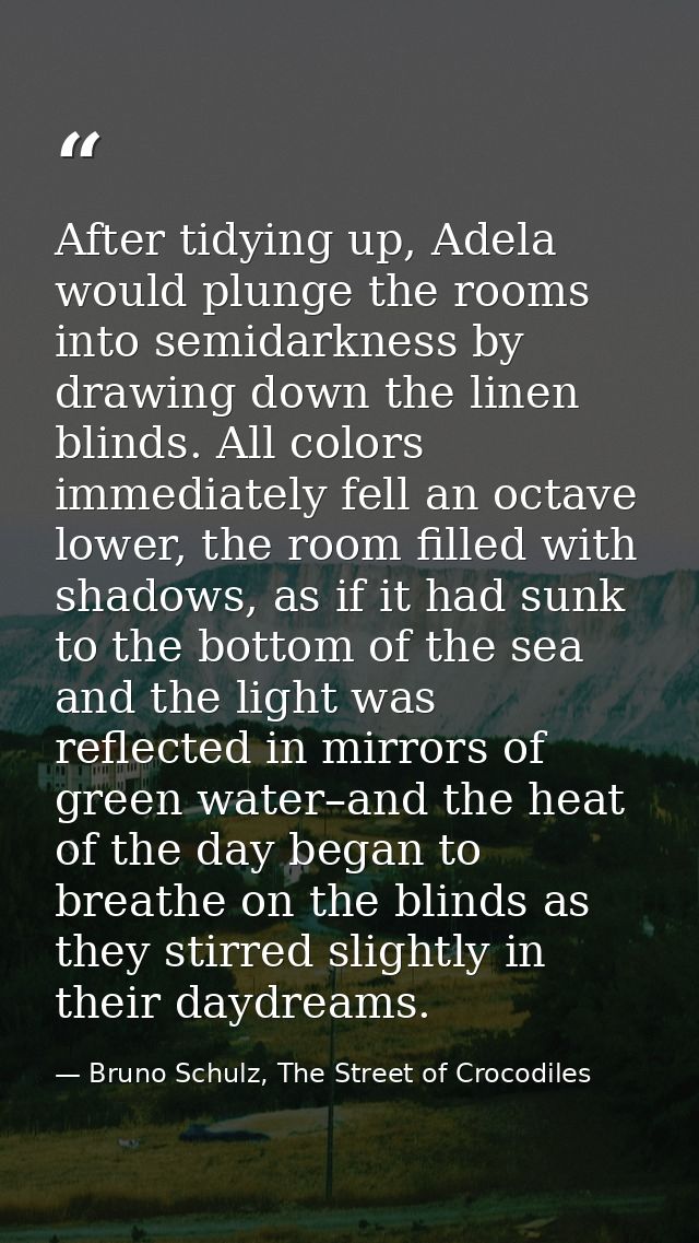 After tidying up, Adela would plunge the rooms into semidarkness by drawing down the linen blinds. All colors immediatel — Bruno Schulz, The Street of Crocodiles