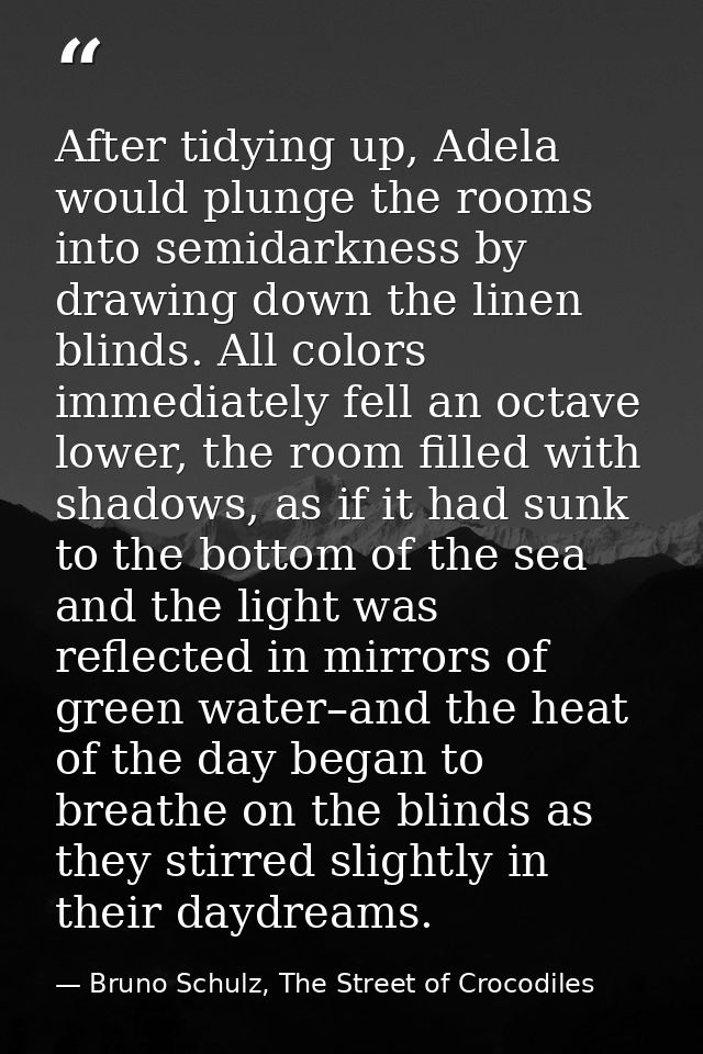 After tidying up, Adela would plunge the rooms into semidarkness by drawing down the linen blinds. All colors immediatel — Bruno Schulz, The Street of Crocodiles