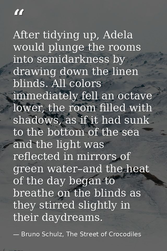 After tidying up, Adela would plunge the rooms into semidarkness by drawing down the linen blinds. All colors immediatel — Bruno Schulz, The Street of Crocodiles