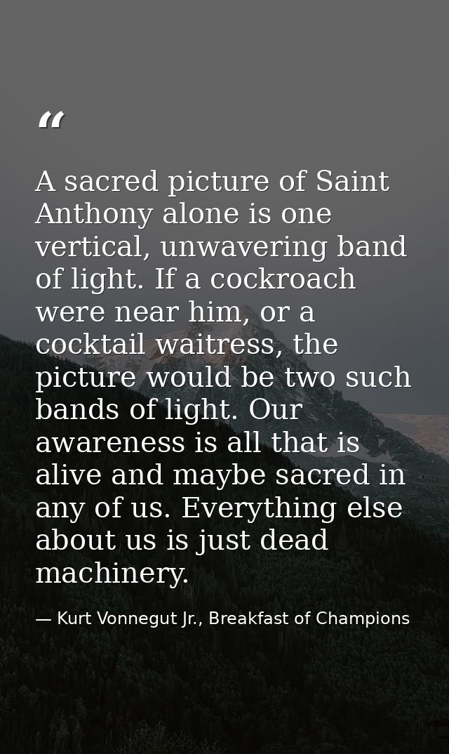 A sacred picture of Saint Anthony alone is one vertical, unwavering band of light. If a cockroach were near him, or a co — Kurt Vonnegut Jr., Breakfast of Champions