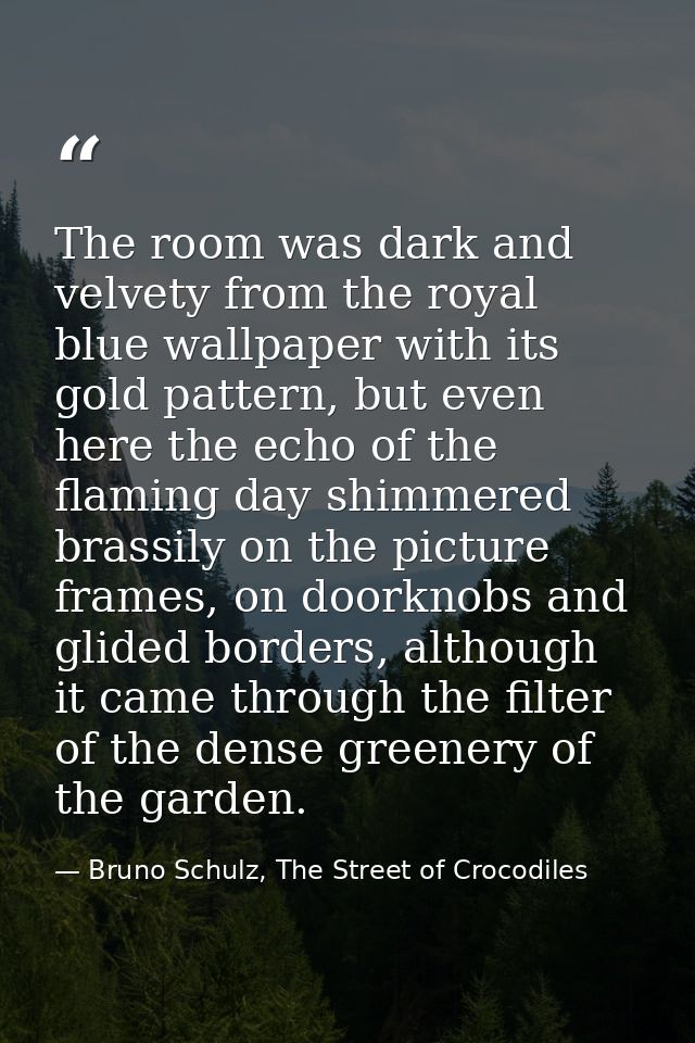 The room was dark and velvety from the royal blue wallpaper with its gold pattern, but even here the echo of the flaming — Bruno Schulz, The Street of Crocodiles