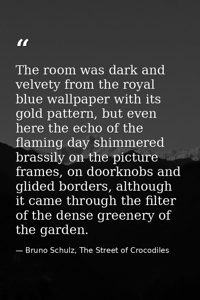 The room was dark and velvety from the royal blue wallpaper with its gold pattern, but even here the echo of the flaming — Bruno Schulz, The Street of Crocodiles