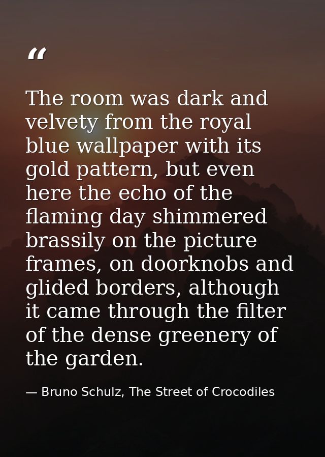The room was dark and velvety from the royal blue wallpaper with its gold pattern, but even here the echo of the flaming — Bruno Schulz, The Street of Crocodiles